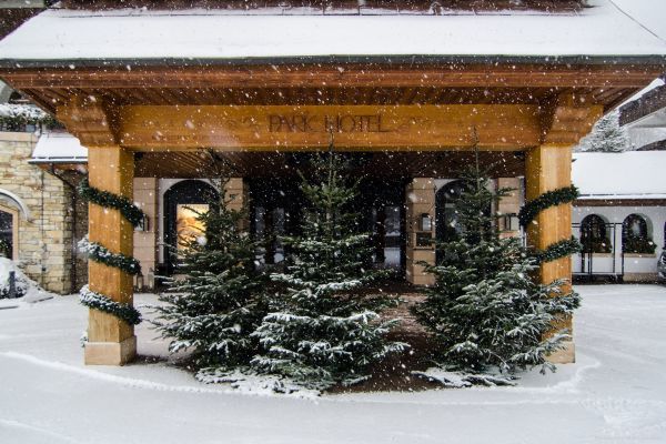 Grand Hotel Park (Alpes)